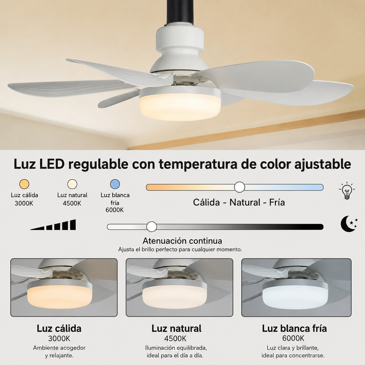 VentaBulbo – Frescor al instante