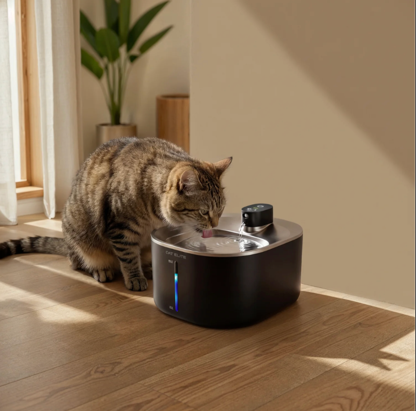 Fuente de agua para gatos