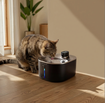 Fuente de agua para gatos
